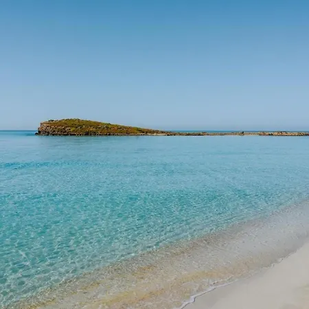 Narcissos Nissi C16 Ayia Napa